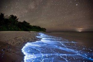 Shimmering-shores-of-Vaadhoo-Maldives-768x512